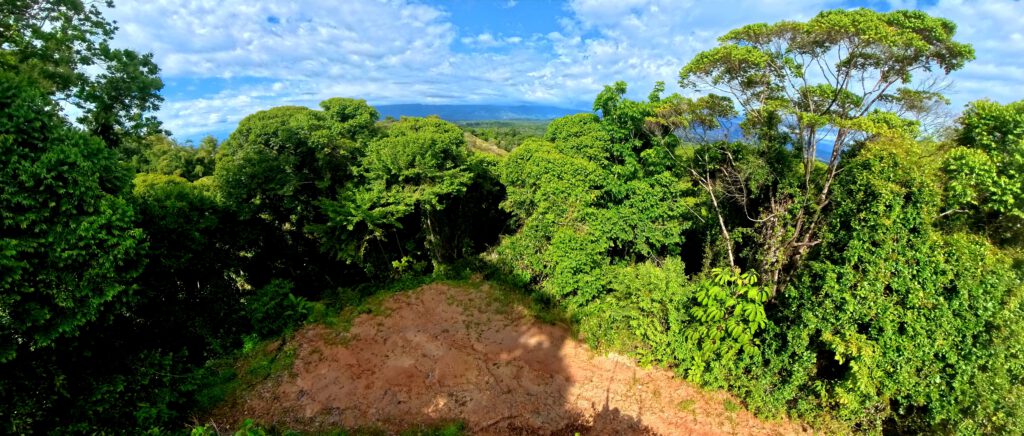 Manuel Antonio Estates 12 - Image 3