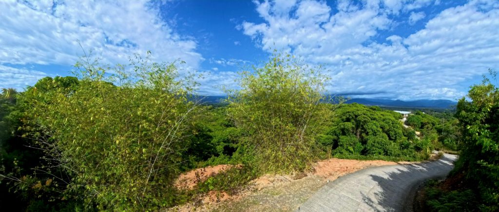 Manuel Antonio Estates 14 - Image 1