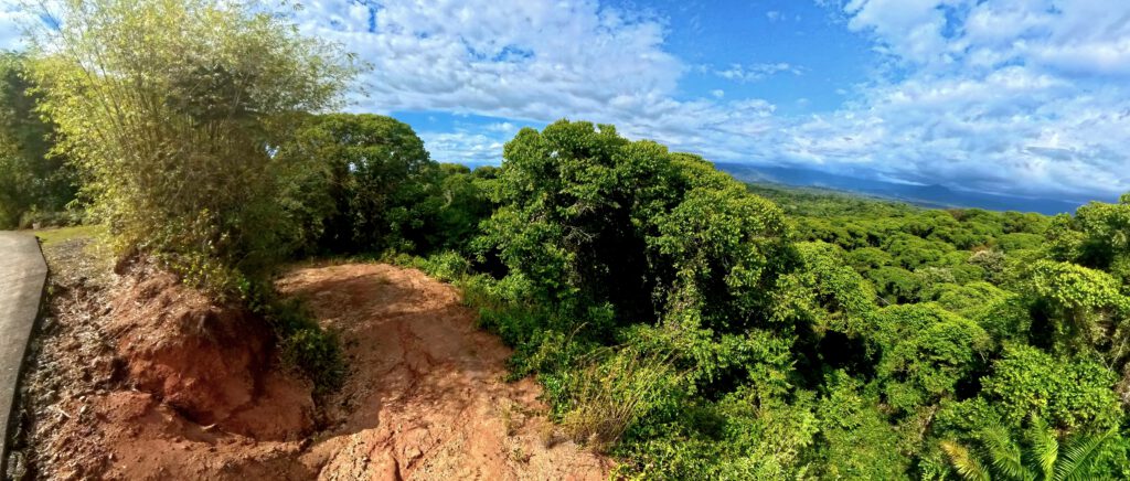 Manuel Antonio Estates 22 - Image 2