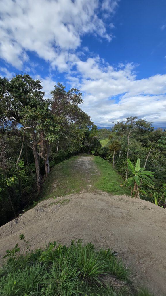 Manuel Antonio Estates 77 - Image 6
