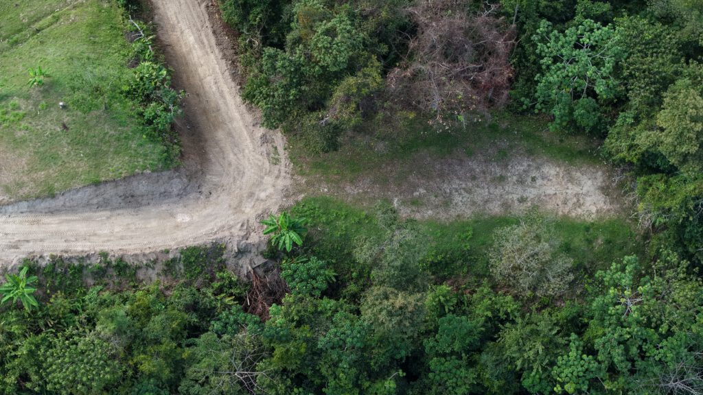 Manuel Antonio Estates 77 - Image 8