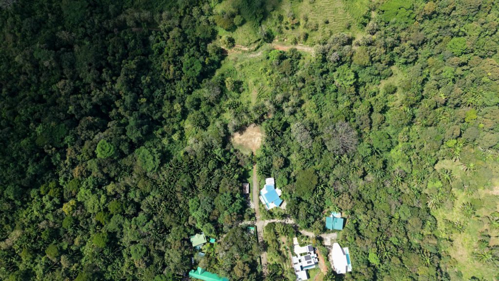 Lot 18 - Image 4