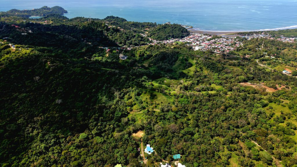 Lot 18 - Image 5