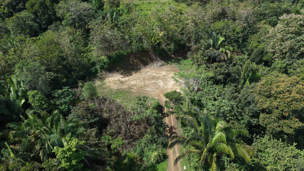 Lot 18 - Image 6