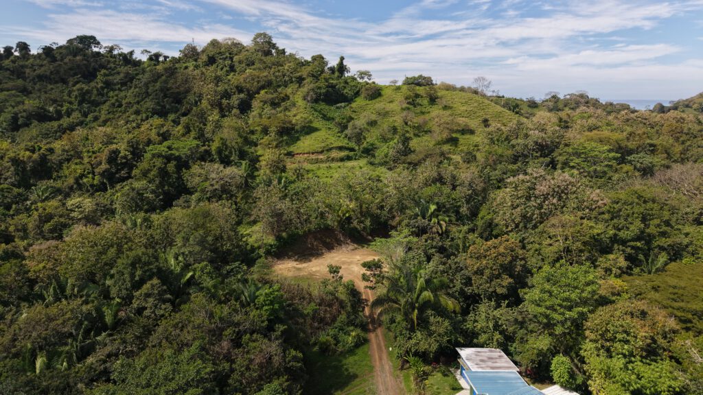 Lot 18 - Image 7